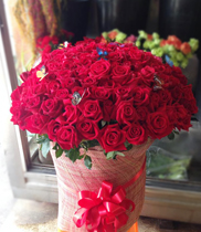 Hoa hồng đỏ, hoa sinh nhật đẹp, gủi tặng hoa sinh nhật