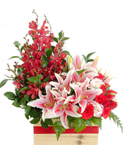 Dịch vụ chuyển phát hoa hoa giỏ đẹp, điện hoa Lào Cai