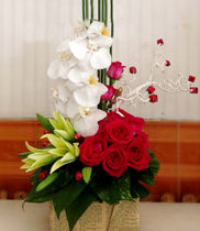 Lan hồ điệp, giỏ hoa hồng đẹp, gửi hoa sinh nhật