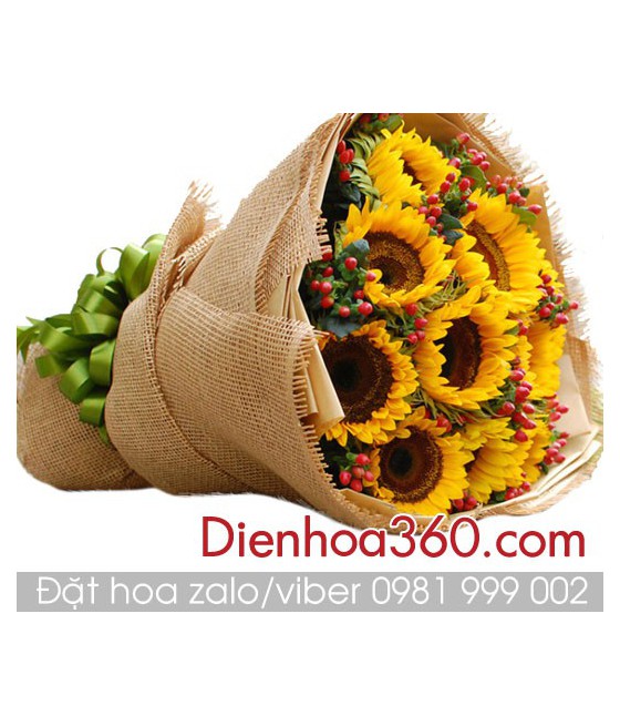 Hoa hướng dương  bó hoa hướng dương  sun flower