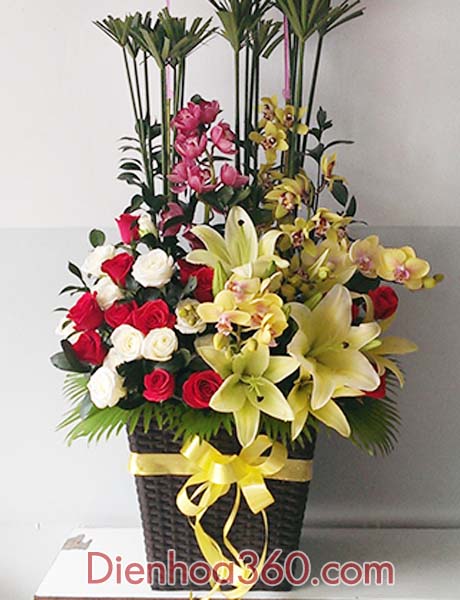Hoa sinh nhật đẹp, mẫu hoa đẹp, hoa địa lan