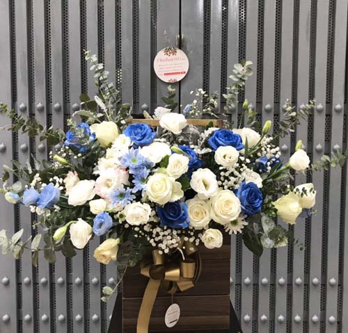 Hoa chúc mừng màu xanh
