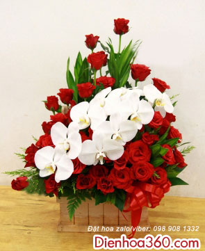 Chúc mừng khai trương – Giỏ hoa lan hồng đỏ