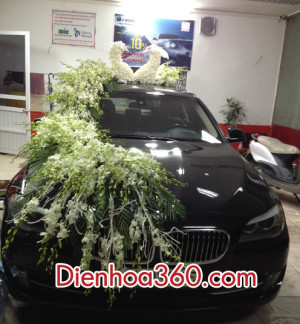 Xe hoa con công, trang trí xe hoa con công | Dienhoa360