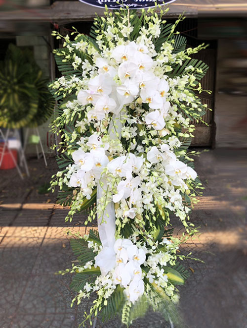 Hoa chia buồn màu trắng | hoa viếng