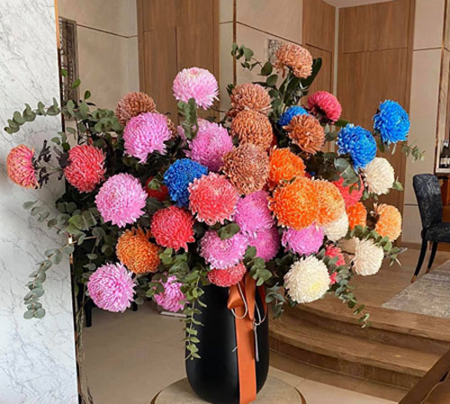hoa tặng vợ mua hoa gì