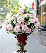 Hoa bình | Bình hoa tặng sinh nhật Vip