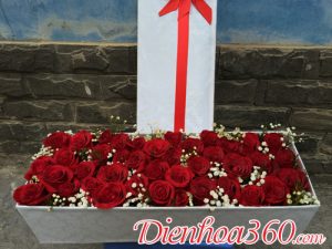 Hộp hoa hồng đỏ | hoa sinh nhật đẹp