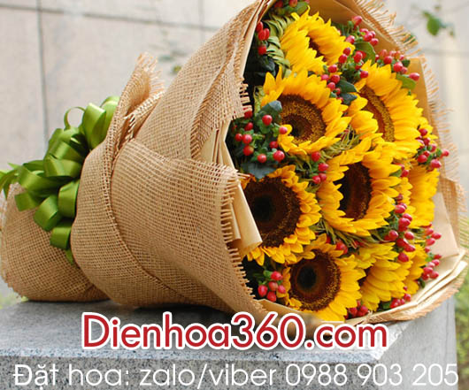 Ý nghĩa hoa hướng dương Dienhoa360.com