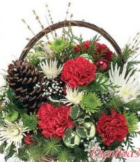 Tổng hợp mẫu hoa đẹp mừng Giáng Sinh – Noel đẹp và ấm áp