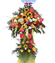 Hoa chúc mừng khai giảng là hoa gì? vì sao nên tặng hoa?
