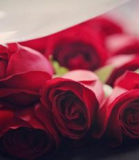 Lựa chọn hoa hồng chúc mừng Valentine 2021 ý nghĩa