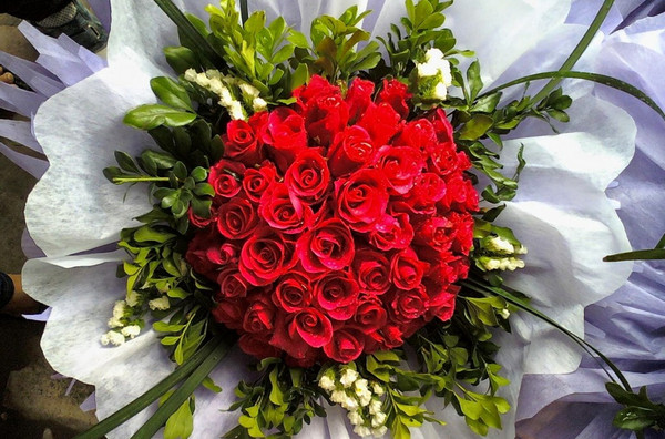 Hoa hồng đỏ - biểu tượng của sự lãng mạn, đam mê và tình yêu. Hãy chiêm ngưỡng các hình ảnh vô cùng đẹp về loài hoa yêu thích này và cảm nhận sự độc đáo của nó. Hình ảnh này sẽ giúp bạn tràn đầy năng lượng và yêu đời hơn.