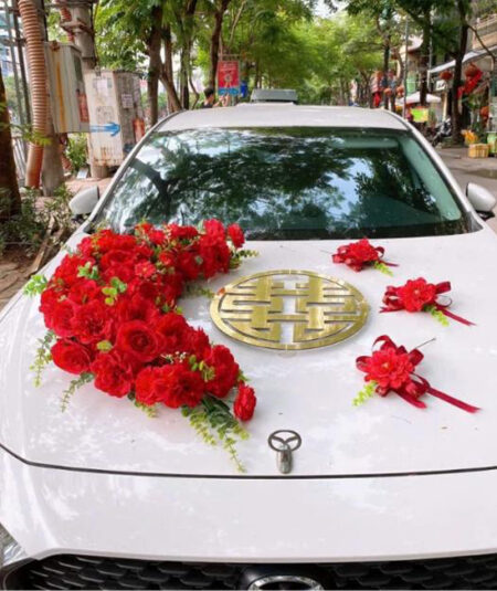 Hướng dẫn gắn nam châm xe hoa