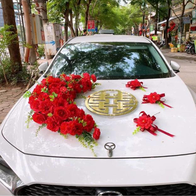 Hướng dẫn gắn nam châm xe hoa